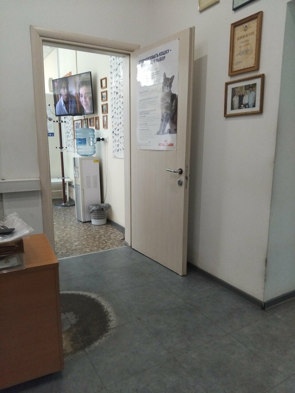 Фото клиники 68778