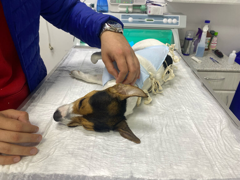 clinic general image