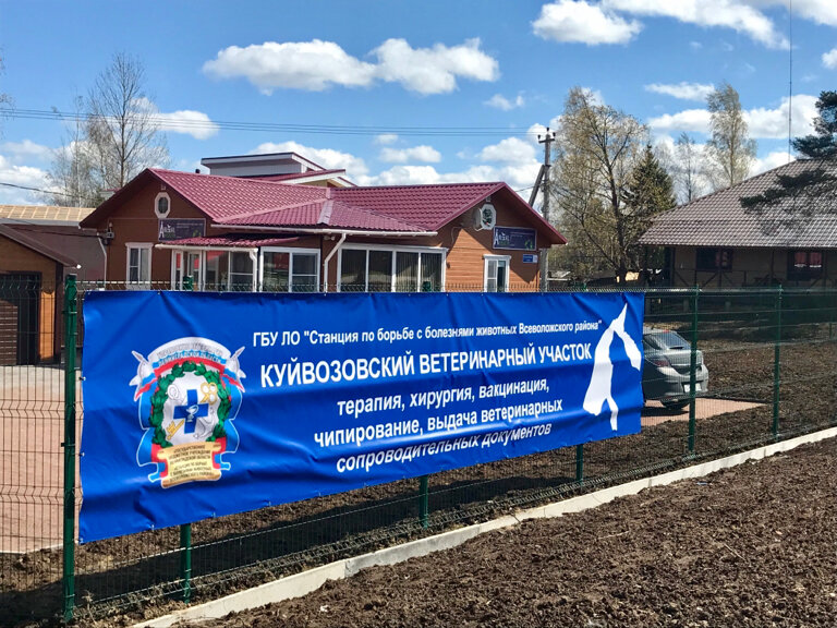 Фото клиники СББЖ Всеволожского района, Куйвозовский ветеринарный участок