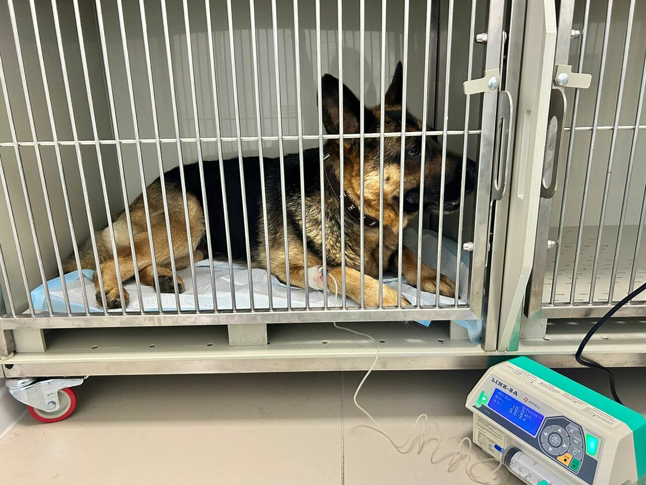 more clinic photos 19752