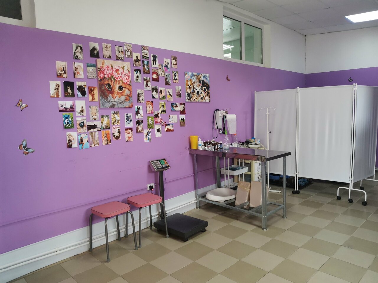 more clinic photos 36728