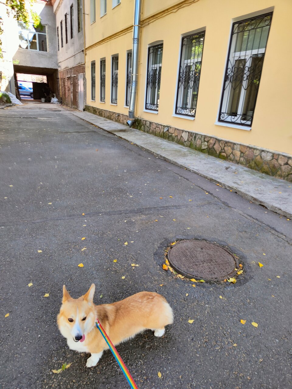 Фото клиники 7533