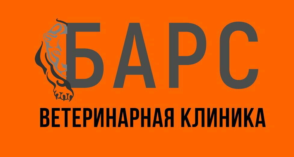 Фото клиники Барс