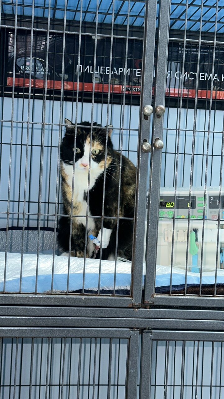 more clinic photos 18412