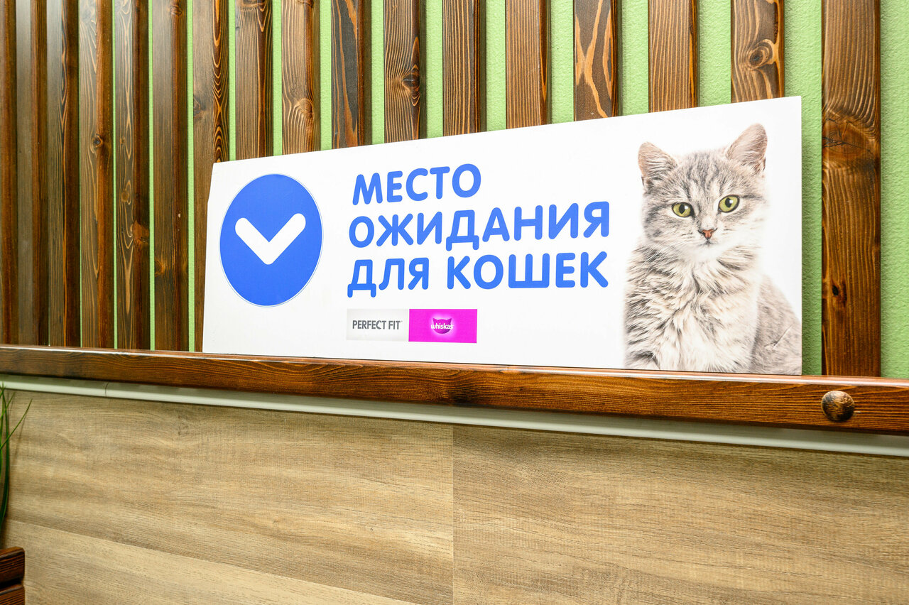 Фото клиники 31001