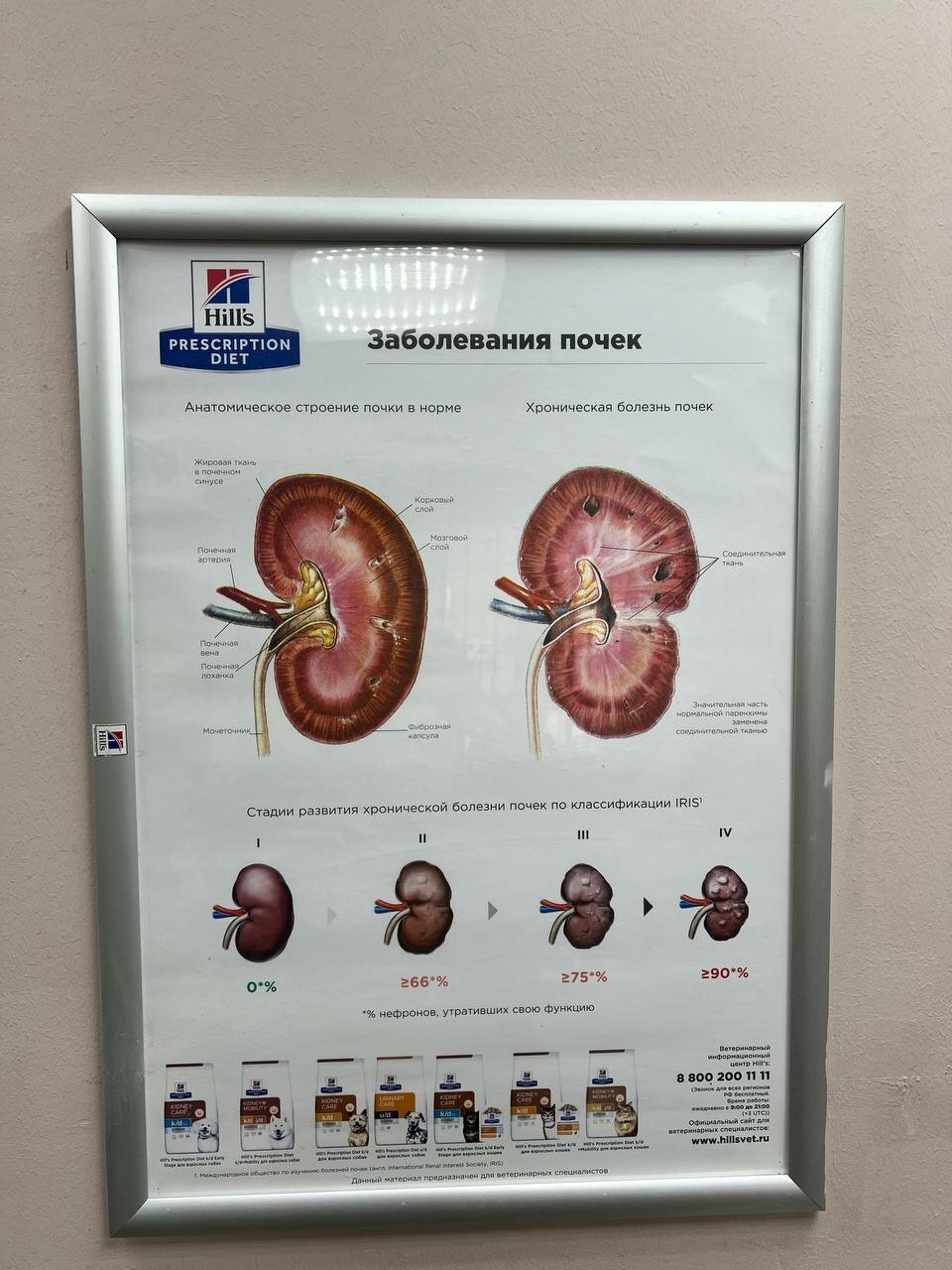 Фото клиники 32288