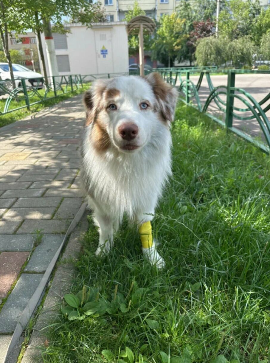 Фото клиники 41292