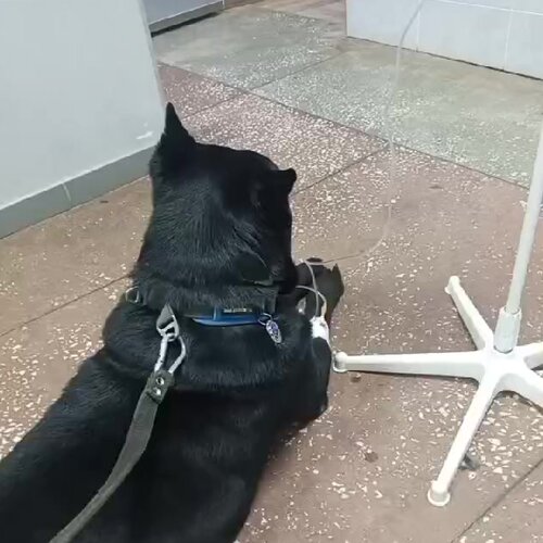 clinic general image