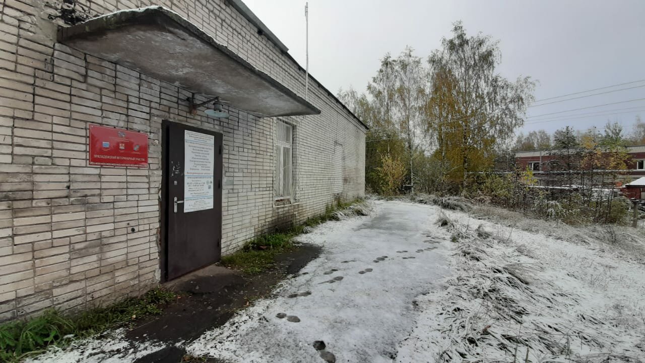 Фото клиники Приладожский ветеринарный участок