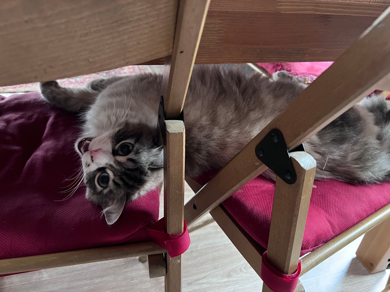 clinic general image