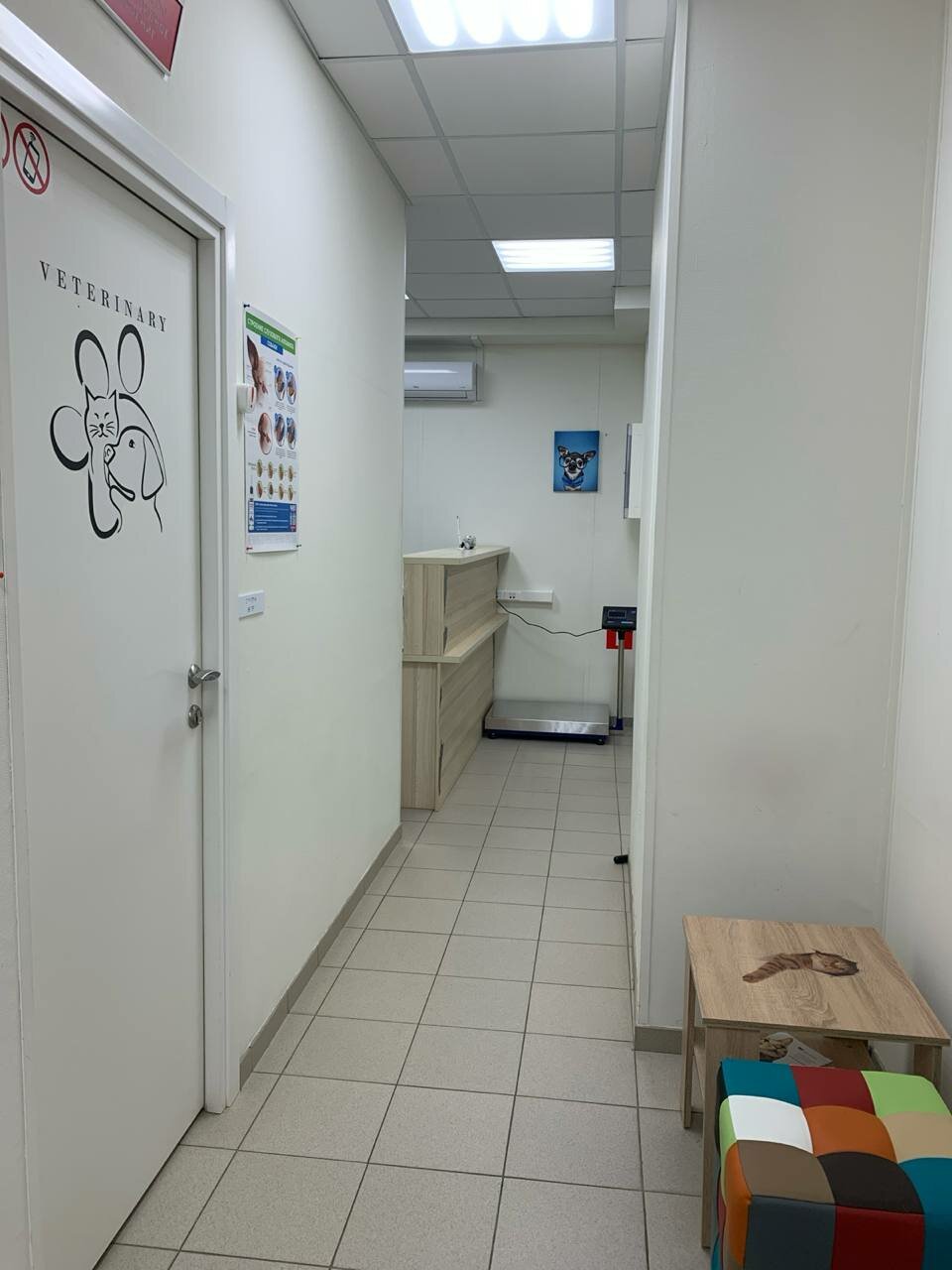 more clinic photos 62658