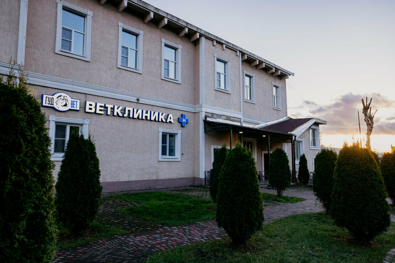 Фото клиники 68400