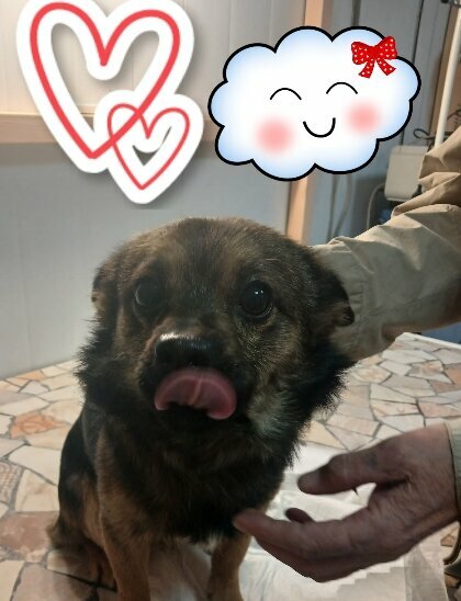 more clinic photos 70455