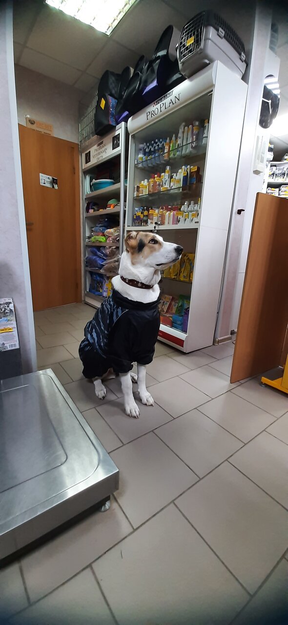 more clinic photos 20206