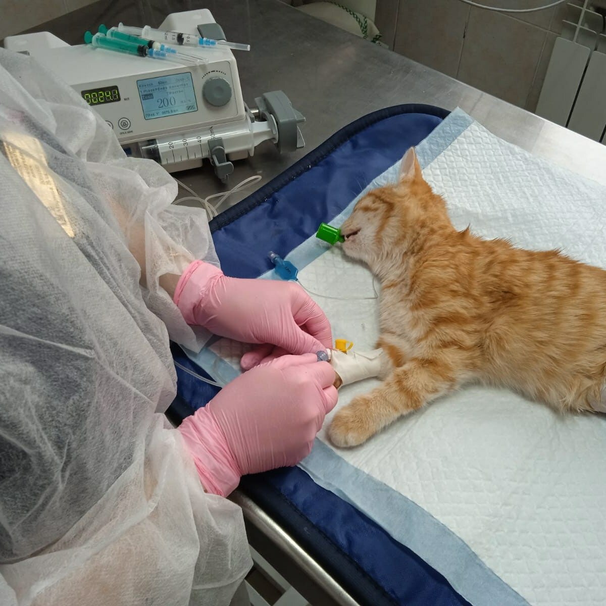 ГБУ КК управление ветеринарии Крымского района