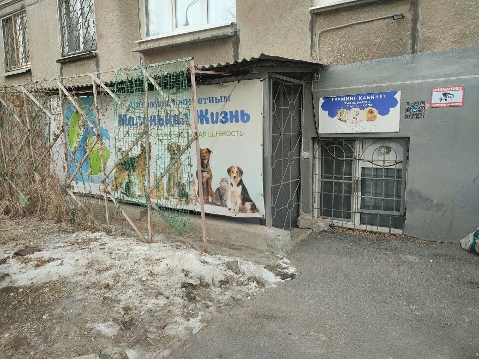 Фото «Груминг кабинет»