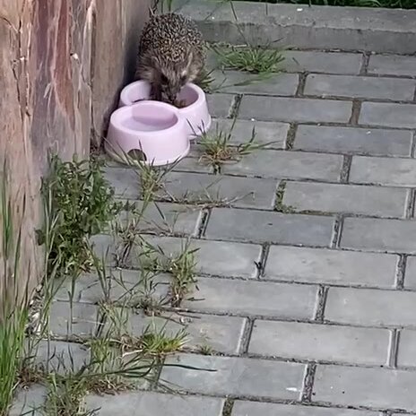 clinic general image