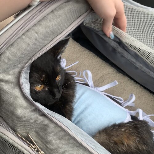 clinic general image