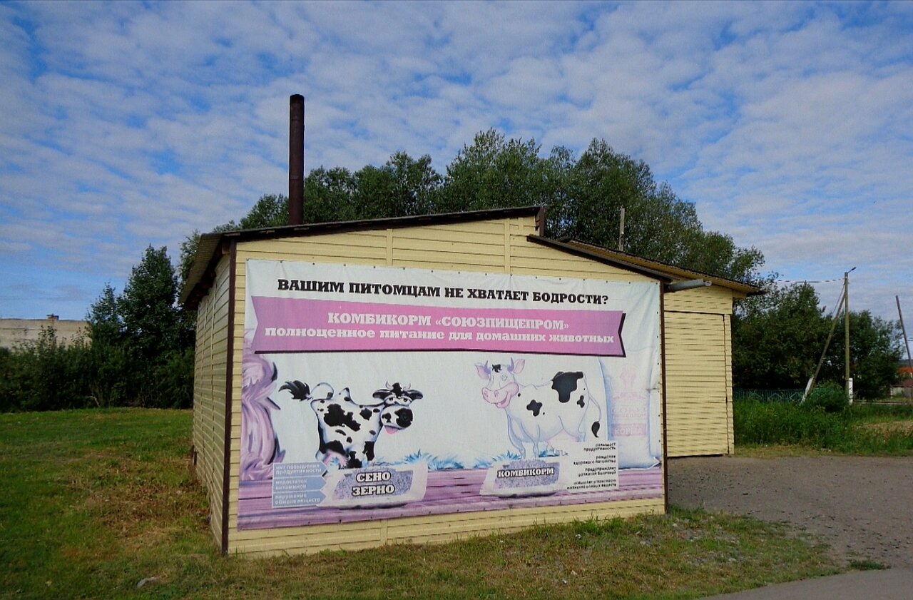 Фото «Айболит»