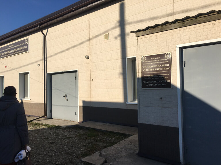 Центр диагностики болезней животных