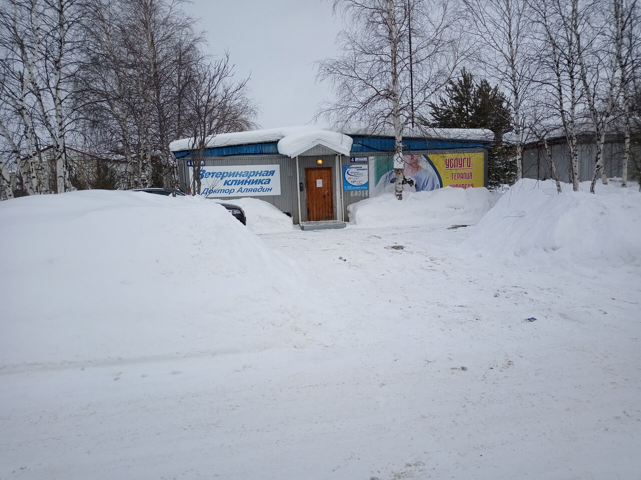 Доктор Алявдин