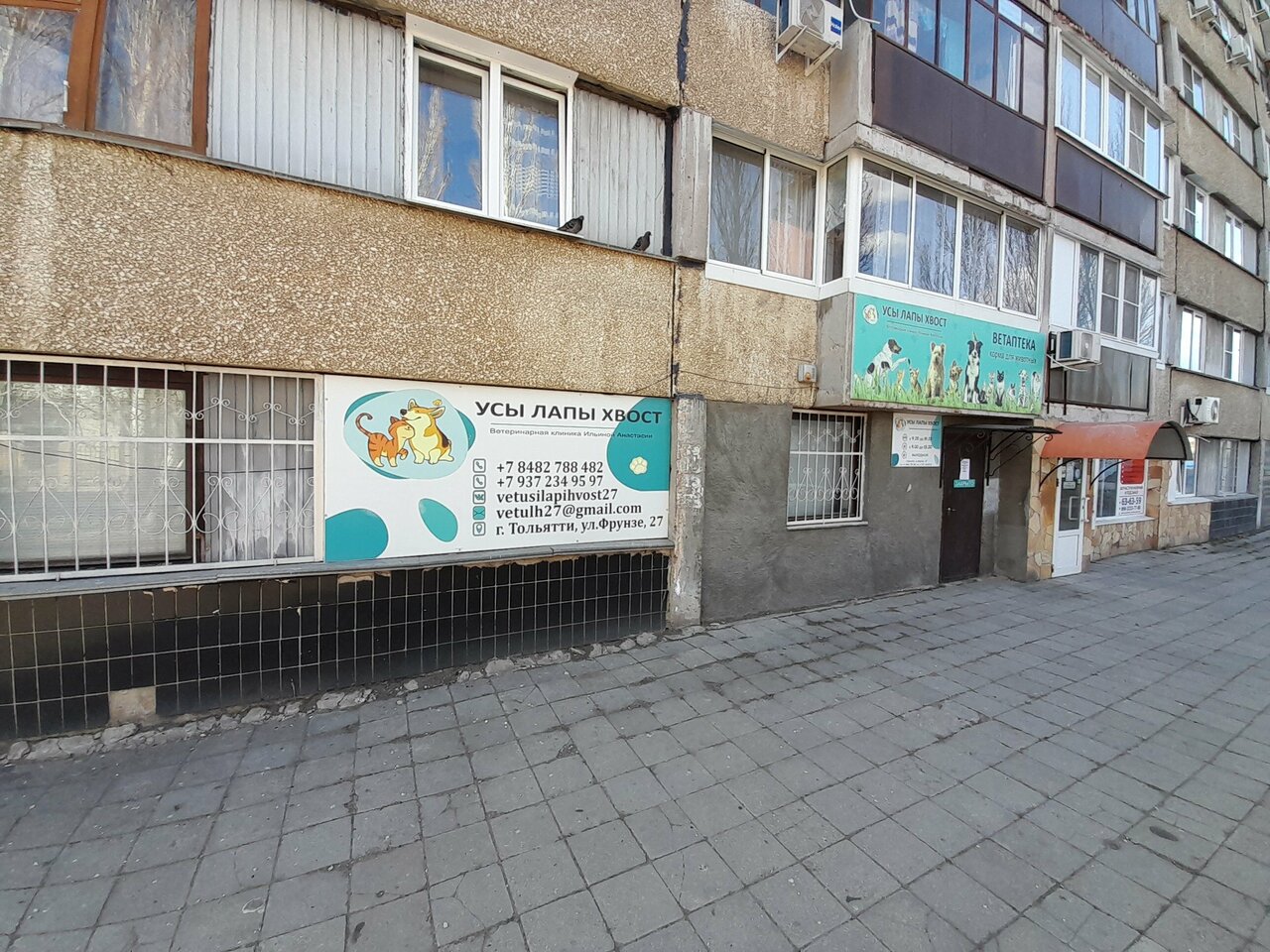 Усы Лапы Хвост