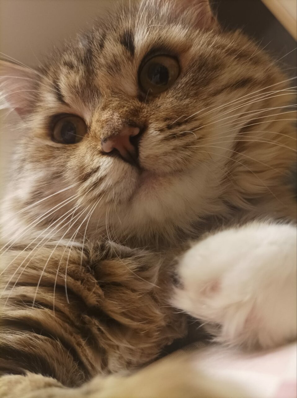 more clinic photos 48316