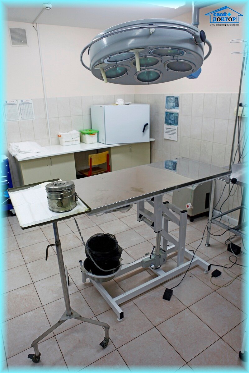 more clinic photos 4886