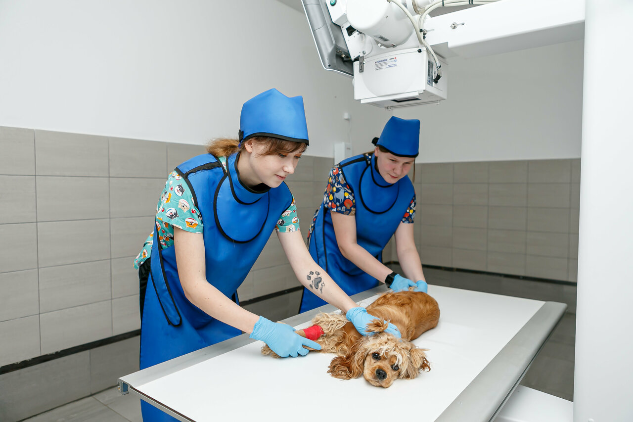 more clinic photos 26632