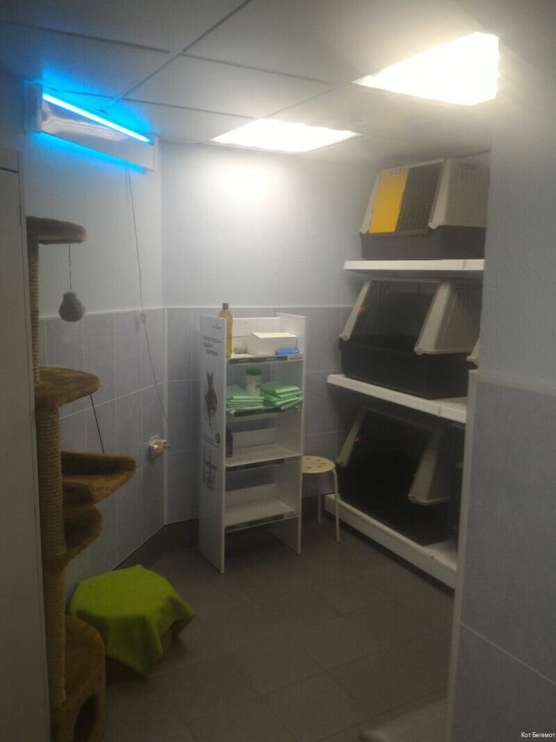 more clinic photos 14346