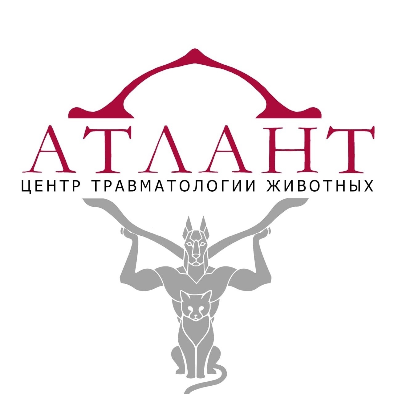 Логотип клиники