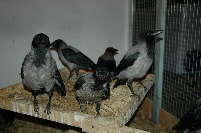 clinic general image