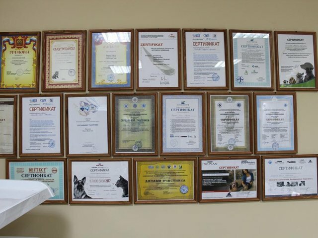 more clinic photos 77787