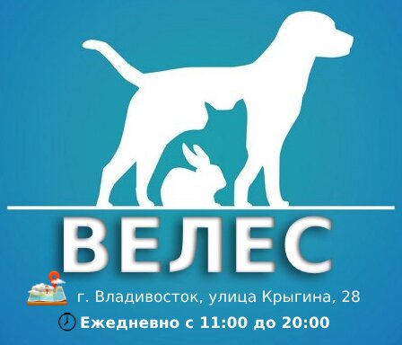 Логотип клиники