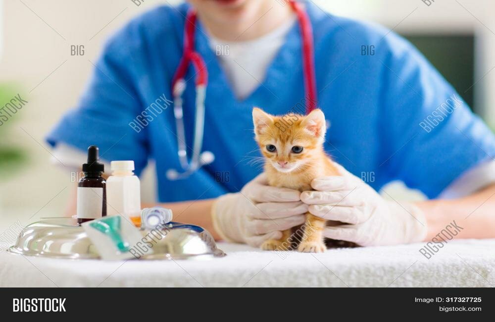 clinic general image