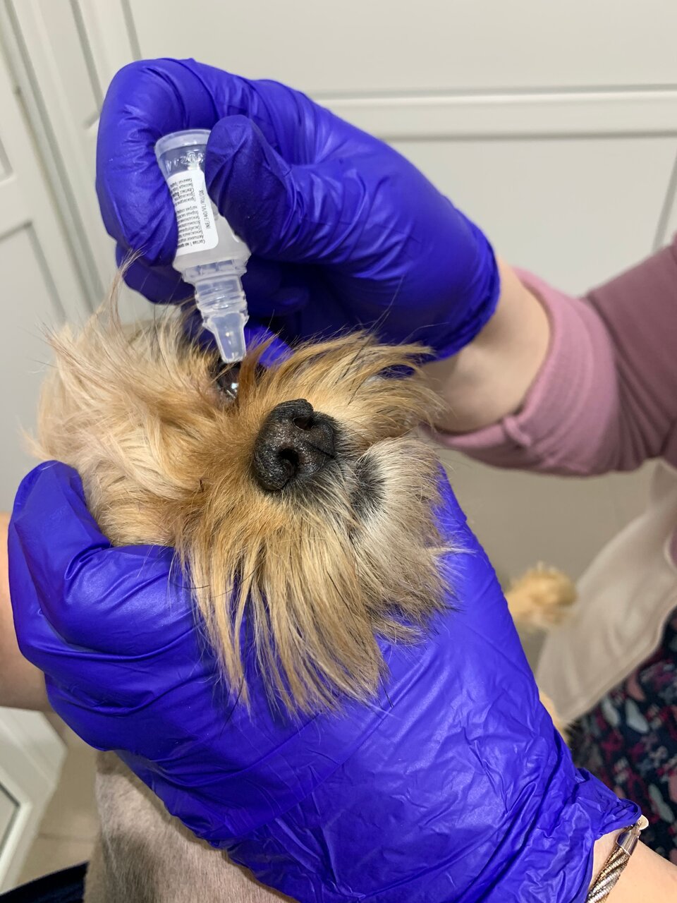 more clinic photos 17557