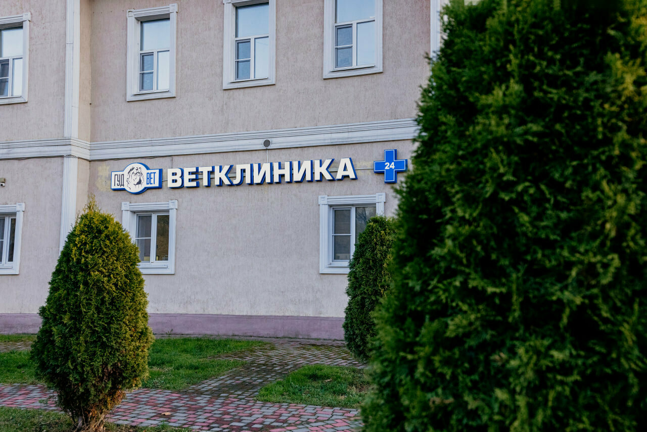 Фото клиники 68386