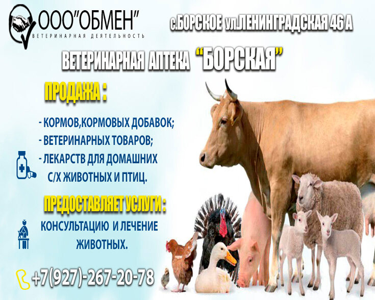 Фото клиники Обмен