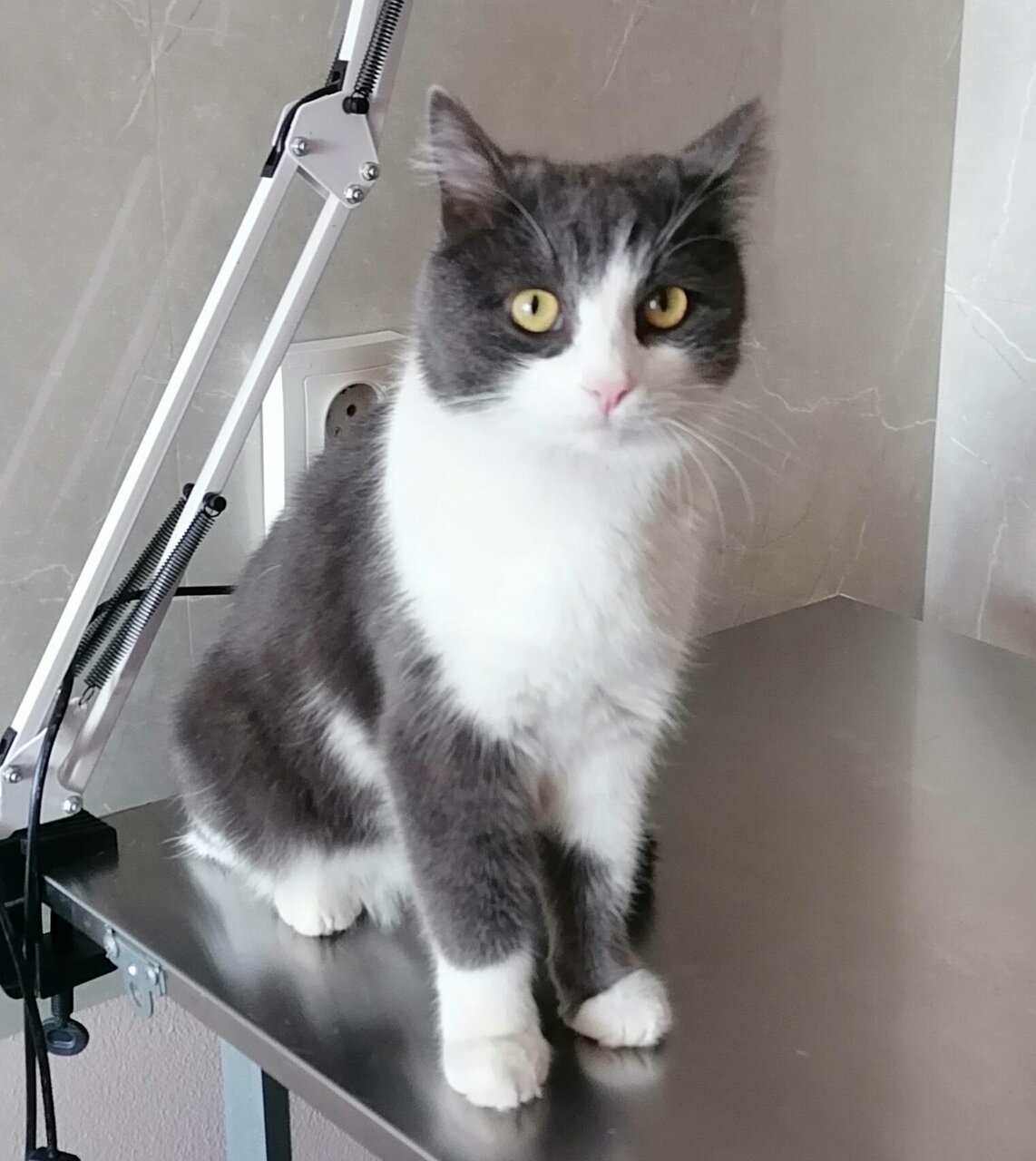 more clinic photos 40267