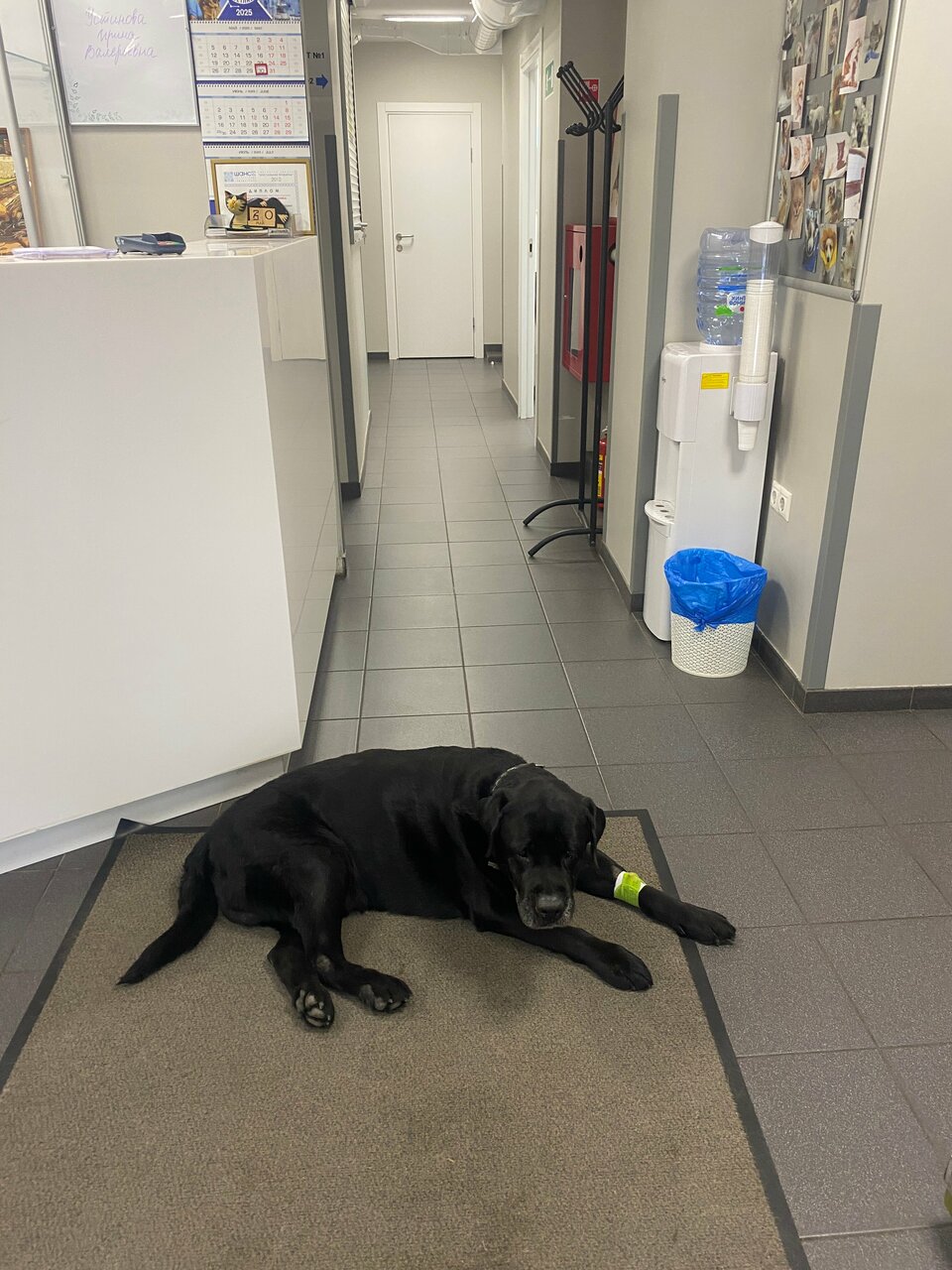 more clinic photos 2713