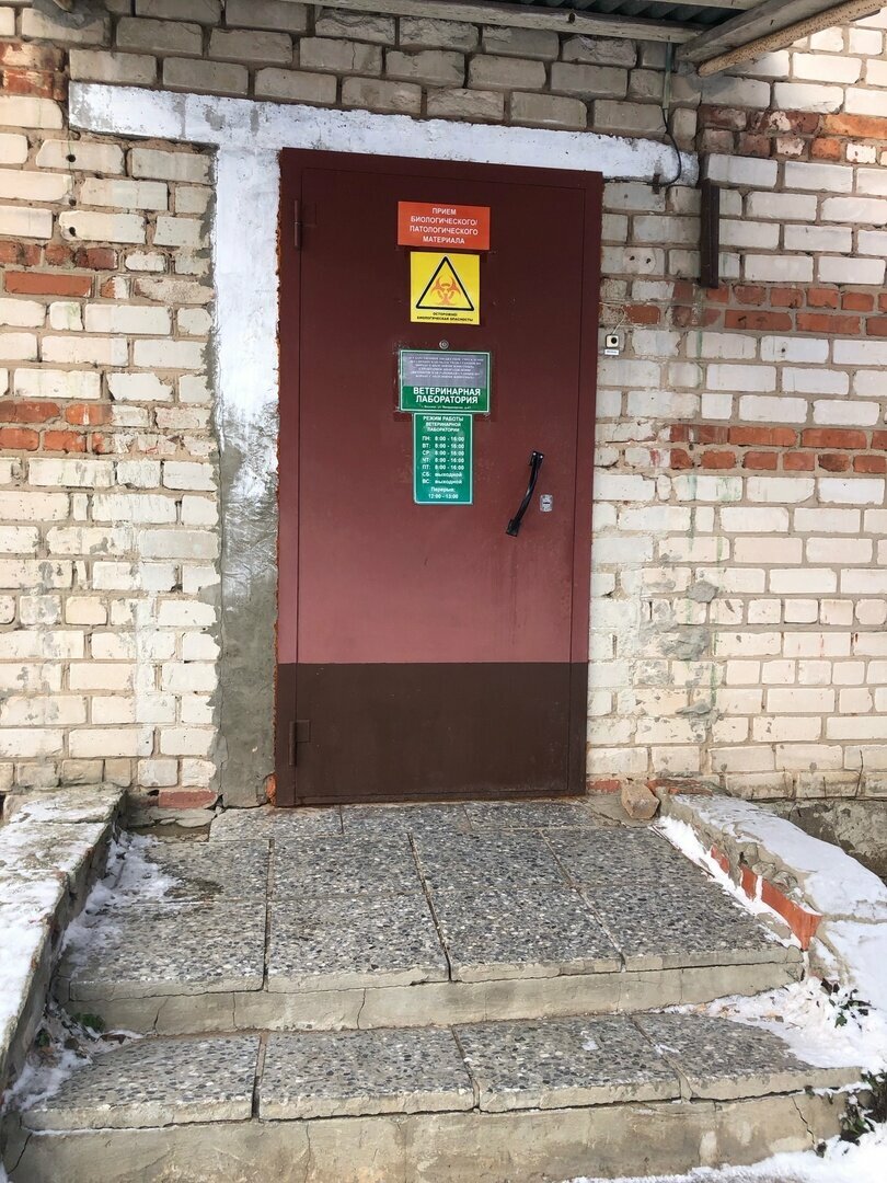 Фото клиники 29850