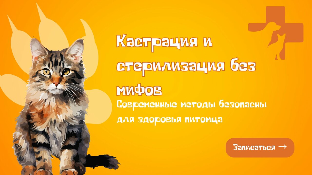 Фото клиники 11349