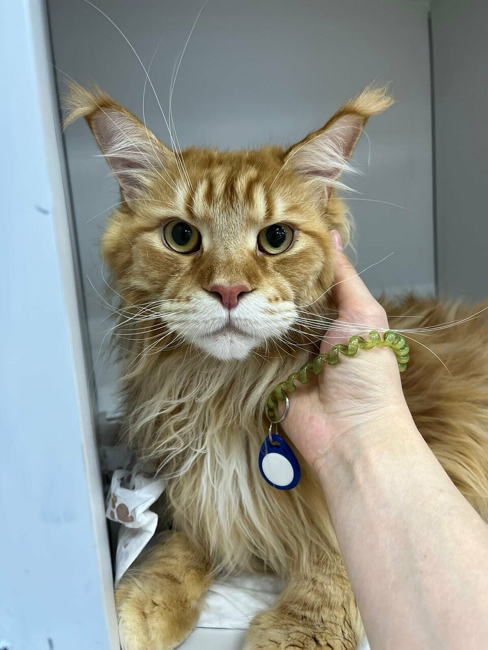 more clinic photos 11237