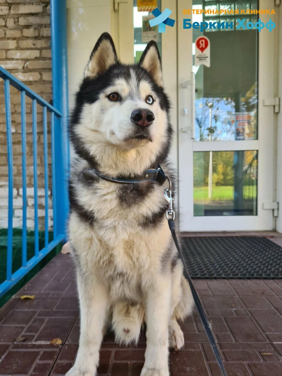 Фото клиники 82749