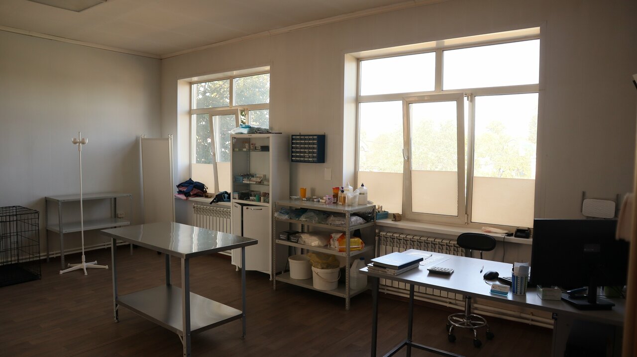 Ветеринарный кабинет
