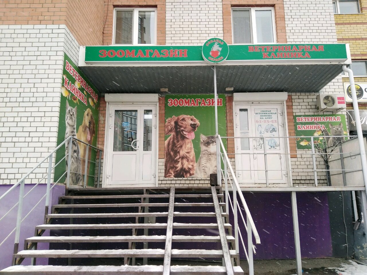 Собачье сердце