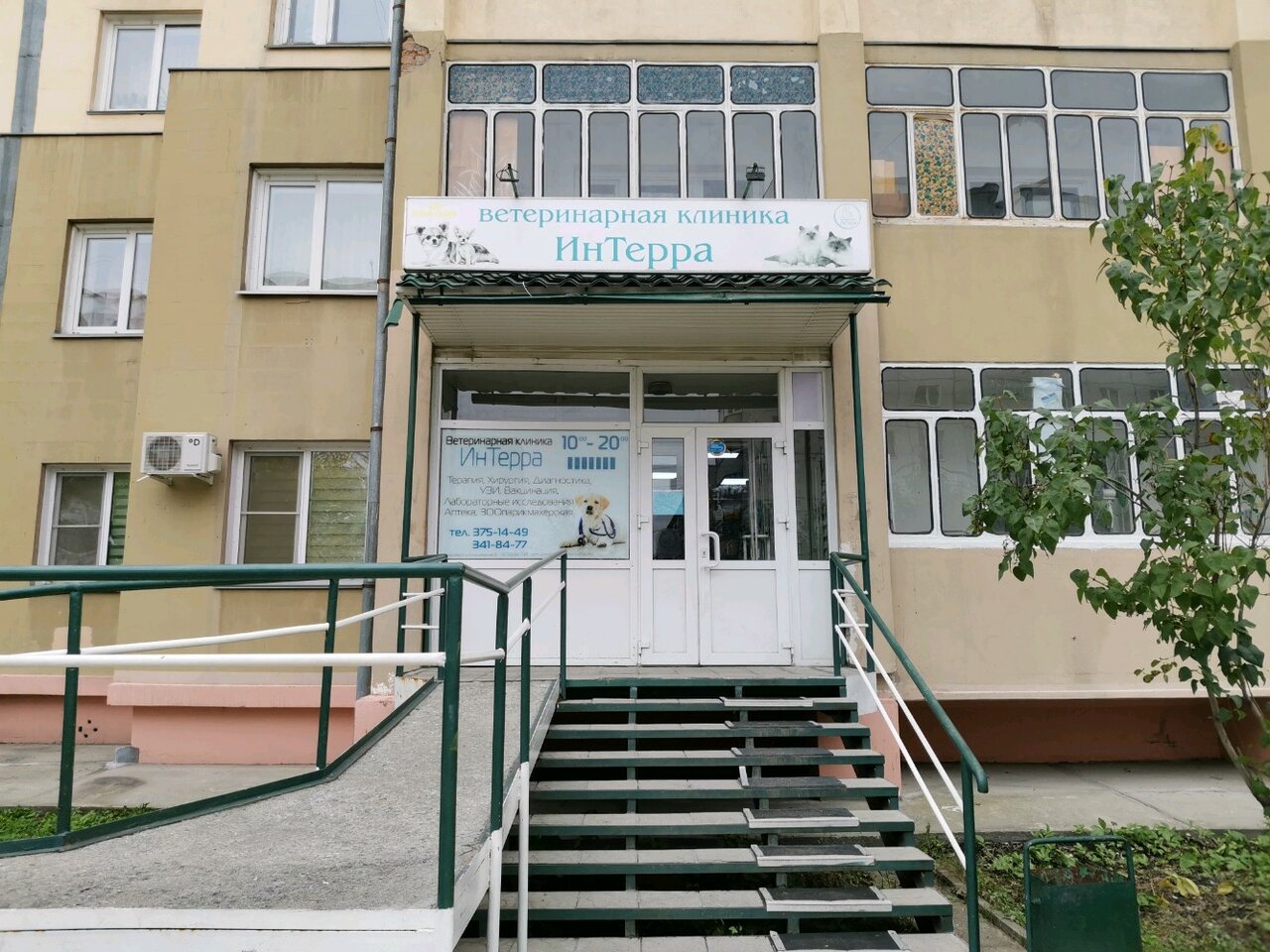Фото клиники 2911