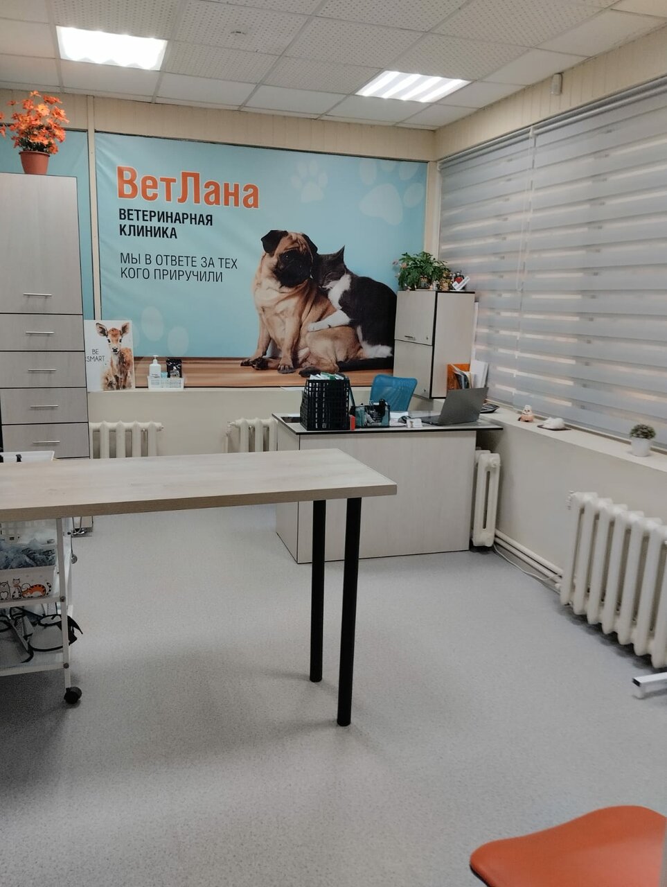 more clinic photos 47567