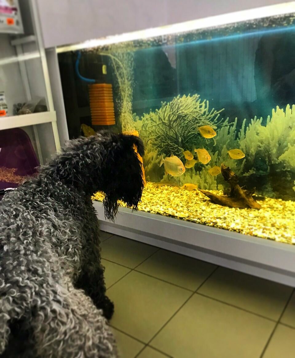 Фото клиники 84974