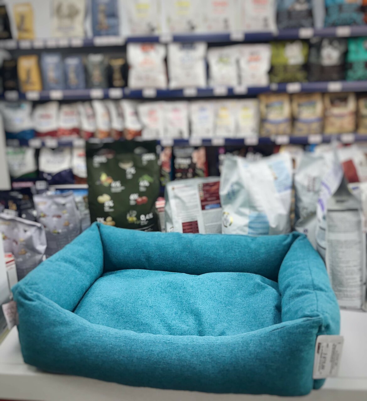 more clinic photos 82910